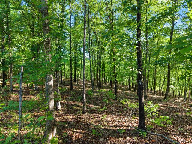 500 Rynders, Jessieville, AR 71949