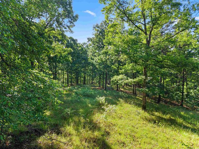 500 Rynders, Jessieville, AR 71949