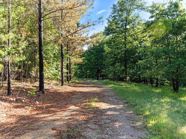 500 Rynders, Jessieville, AR 71949