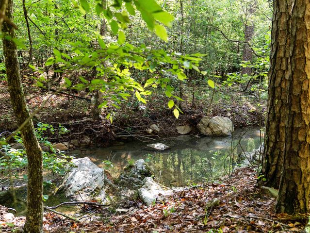 500 Rynders, Jessieville, AR 71949
