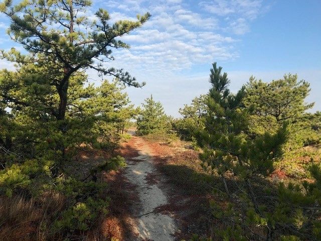9 Benson Rd, Truro, MA 02666