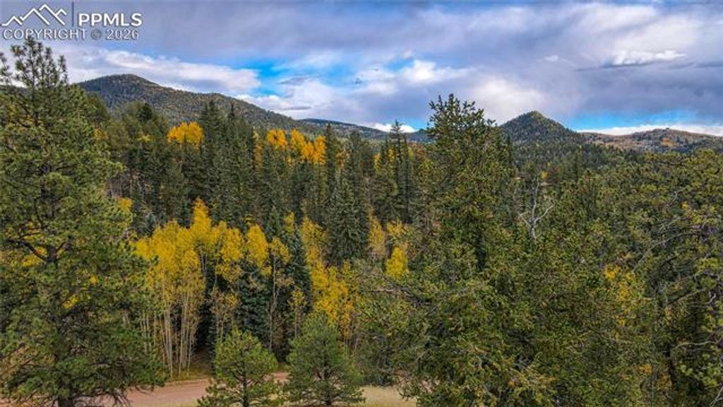 65 Portland Drive, Cripple Creek, CO 80813 — photo 3