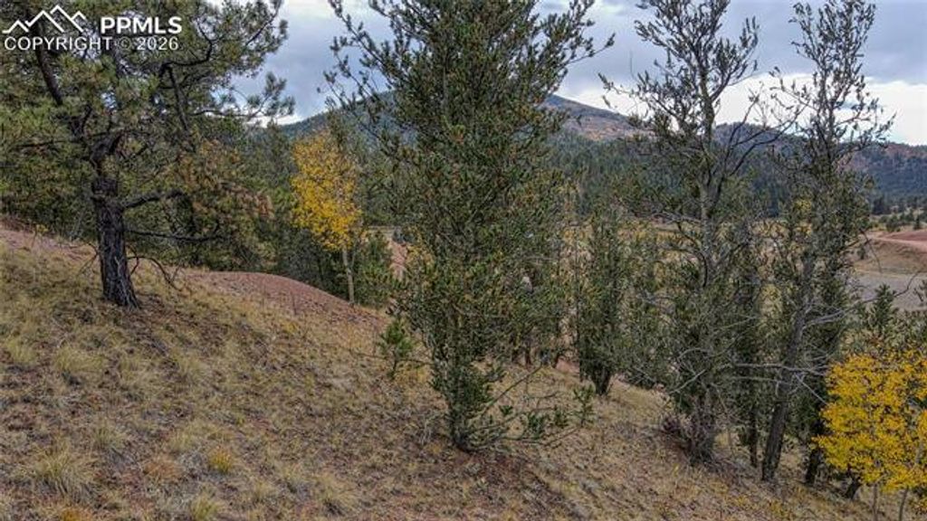 65 Portland Drive, Cripple Creek, CO 80813 — photo 5