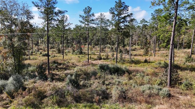 TBD 7 Reveille Road, Livingston, TX 77351