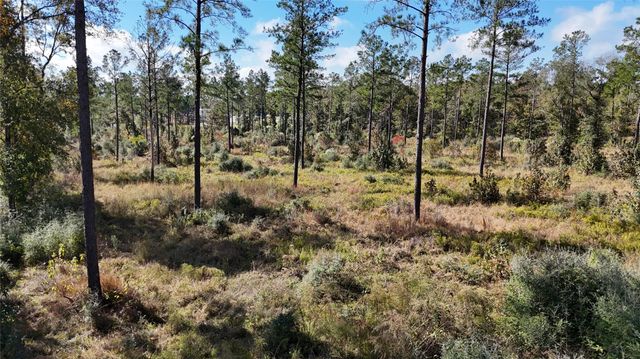 TBD 7 Reveille Road, Livingston, TX 77351