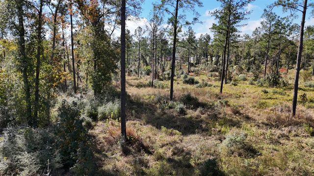 TBD 7 Reveille Road, Livingston, TX 77351