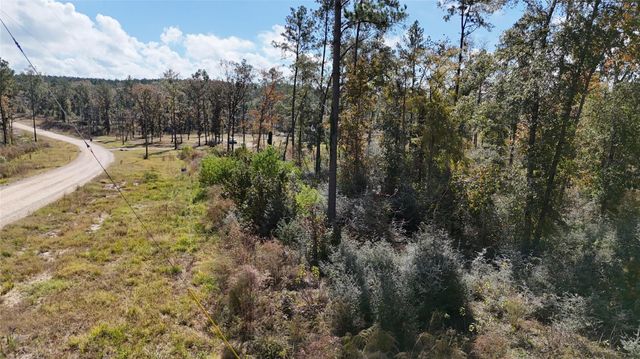 TBD 7 Reveille Road, Livingston, TX 77351