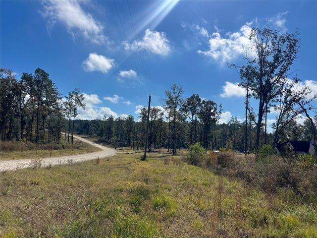 TBD 7 Reveille Road, Livingston, TX 77351