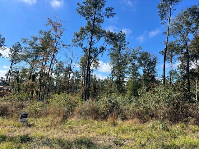 TBD 7 Reveille Road, Livingston, TX 77351