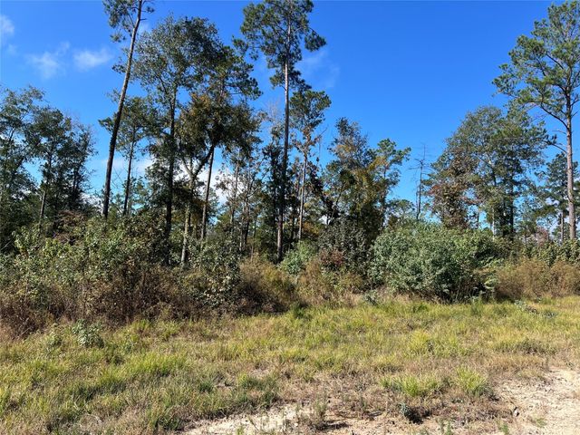 TBD 7 Reveille Road, Livingston, TX 77351