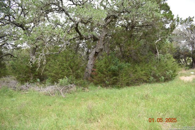 2315 Haven Bluff, New Braunfels, TX 78132