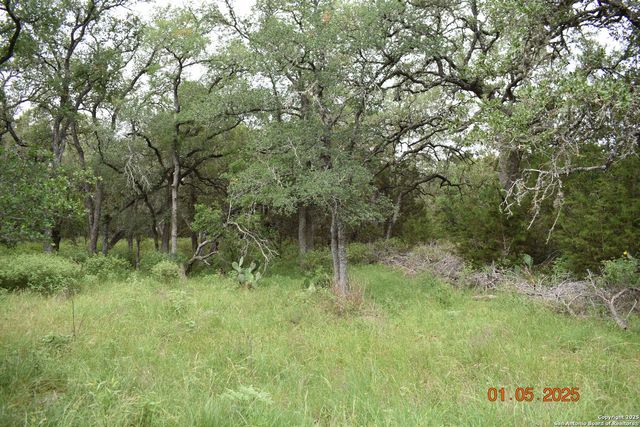 2315 Haven Bluff, New Braunfels, TX 78132