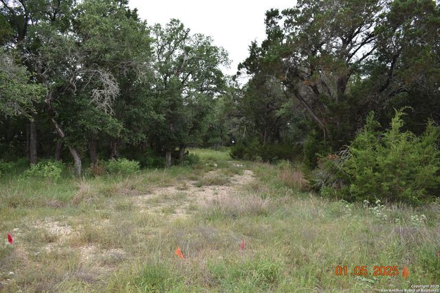 2315 Haven Bluff, New Braunfels, TX 78132