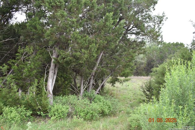 2315 Haven Bluff, New Braunfels, TX 78132