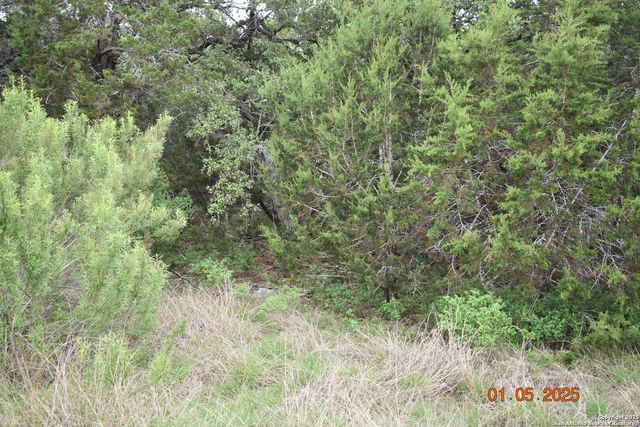 2315 Haven Bluff, New Braunfels, TX 78132