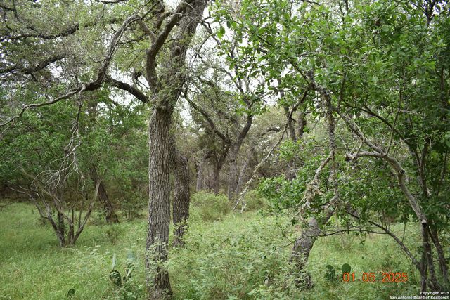 2315 Haven Bluff, New Braunfels, TX 78132