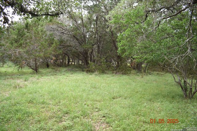 2315 Haven Bluff, New Braunfels, TX 78132