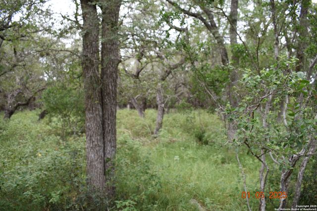 2315 Haven Bluff, New Braunfels, TX 78132