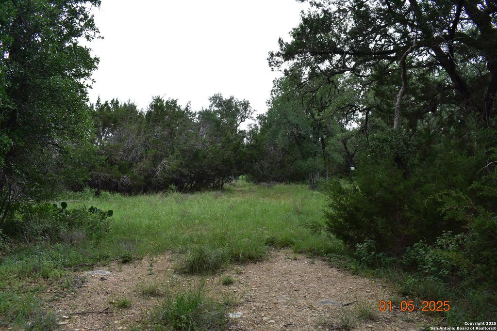 2315 Haven Bluff, New Braunfels, TX 78132