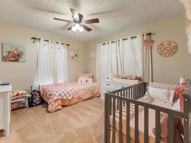 319 County Road 912a, Brazoria, TX 77422