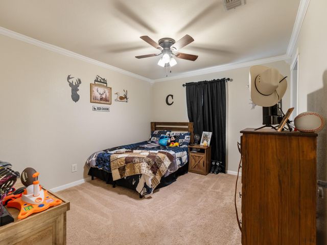 319 County Road 912a, Brazoria, TX 77422