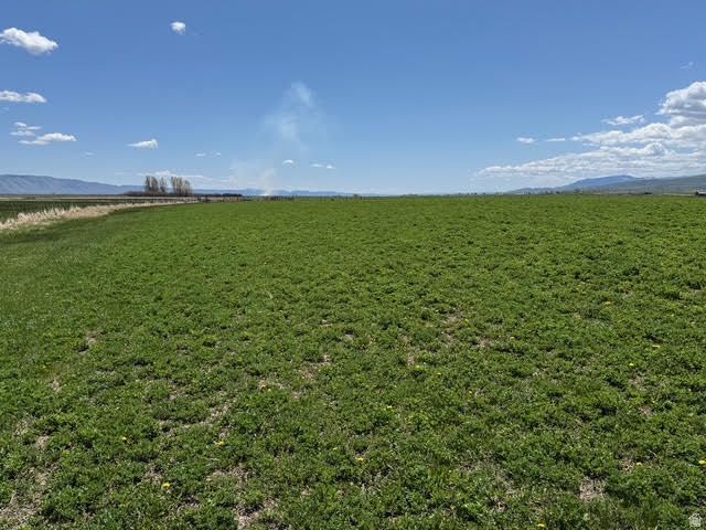 19154 US 89, Montpelier, ID 83254