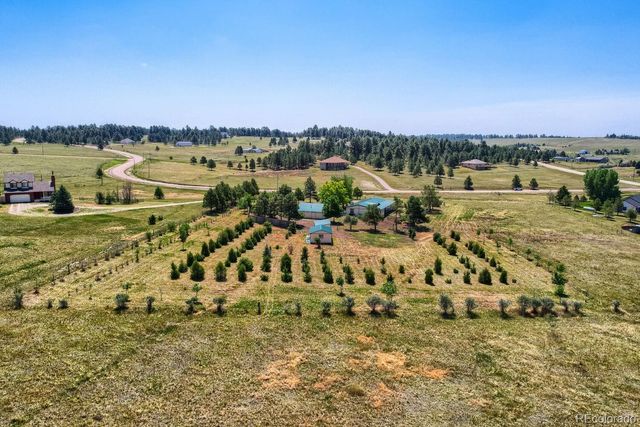 11783 Pine Meadows Drive, Kiowa, CO 80117