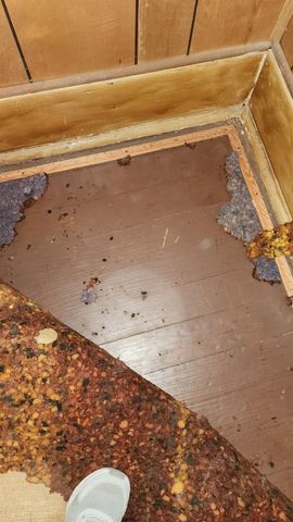 7274 CENTRALIA RD, Bartlett, TN 38135