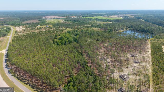 300 Hammond Powell Road, Hazlehurst, GA 31539