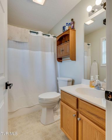 155 Thelma Hannabas Lane, Jonesborough, TN 37659
