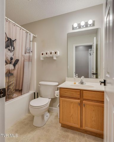 155 Thelma Hannabas Lane, Jonesborough, TN 37659