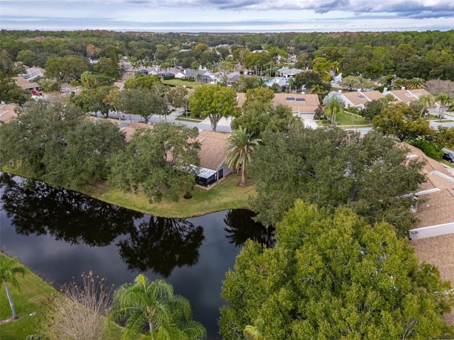 5530 SALEM SQUARE DRIVE N, Palm Harbor, FL 34685
