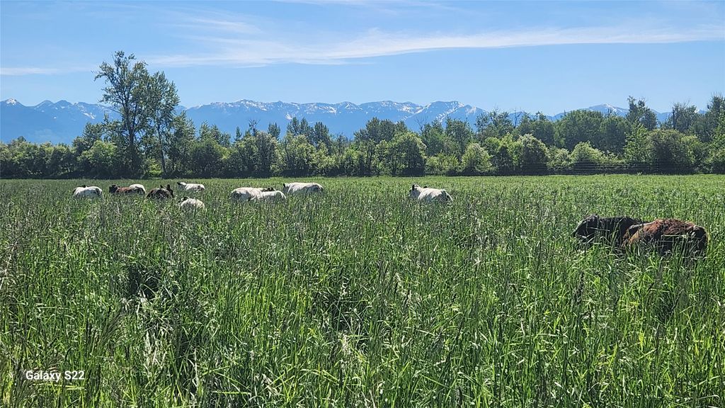 3943 Lower Valley Road, Kalispell, MT 59901 photo 49