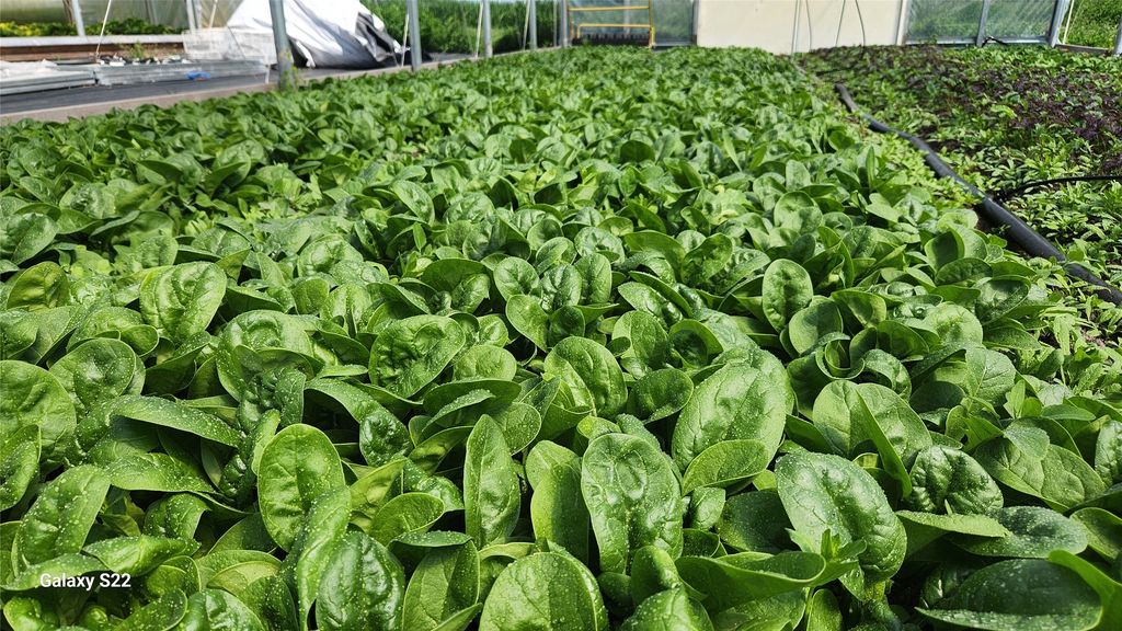 3943 Lower Valley Road, Kalispell, MT 59901 photo 50