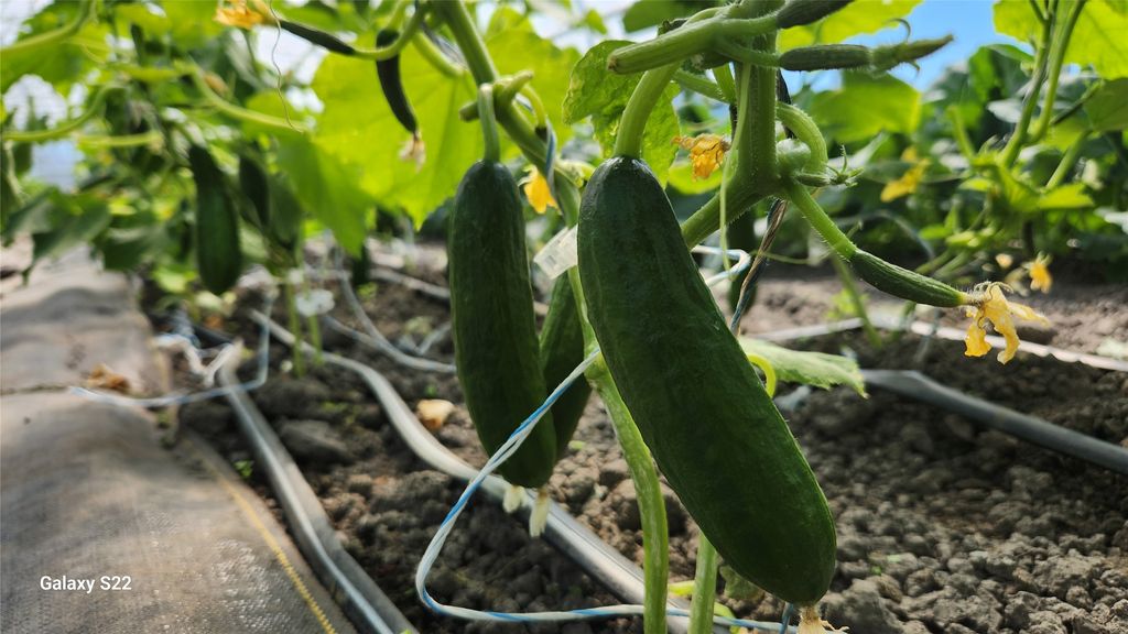 3943 Lower Valley Road, Kalispell, MT 59901 photo 51