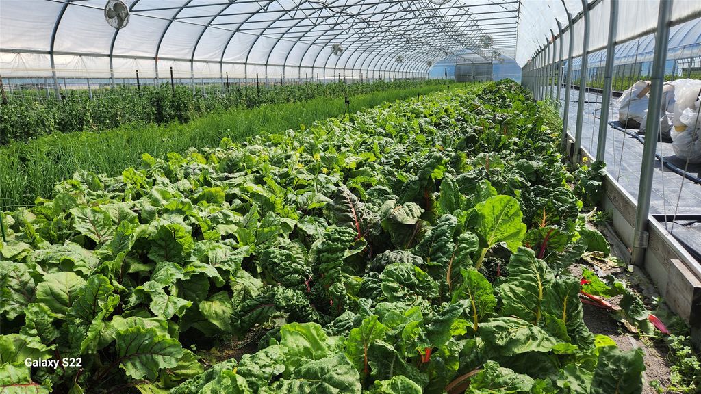 3943 Lower Valley Road, Kalispell, MT 59901 photo 52