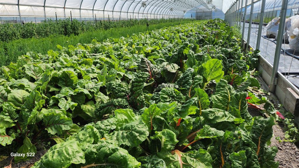 3943 Lower Valley Road, Kalispell, MT 59901 photo 53