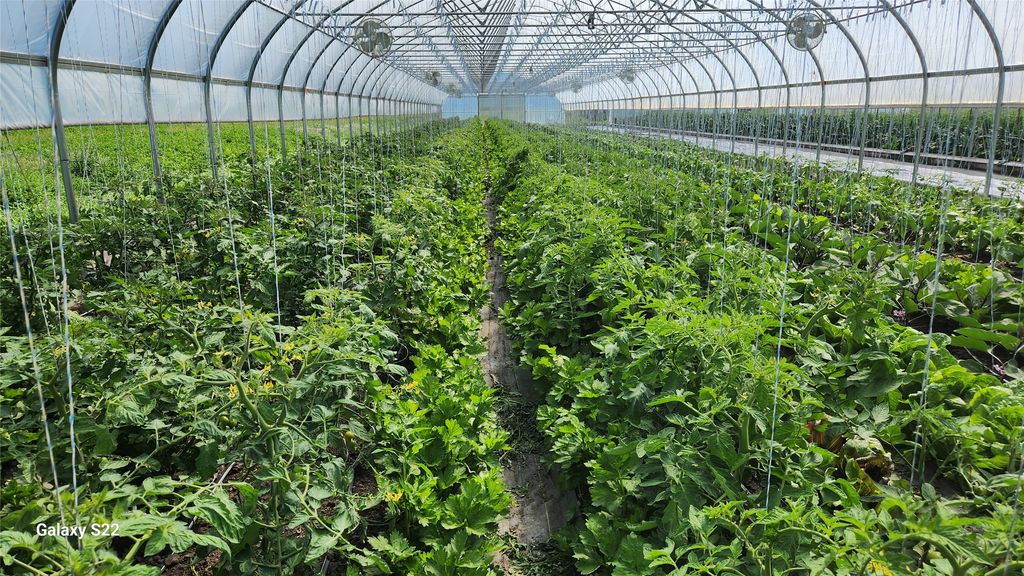 3943 Lower Valley Road, Kalispell, MT 59901 photo 55