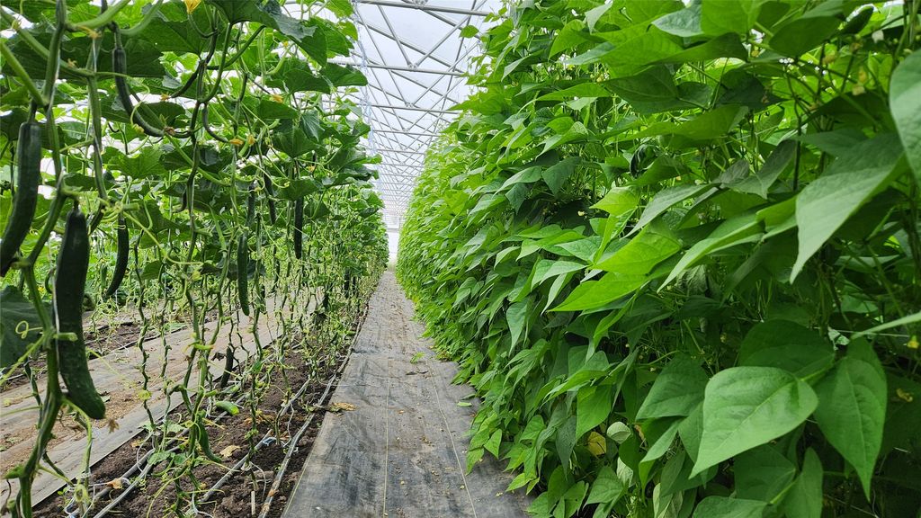 3943 Lower Valley Road, Kalispell, MT 59901 photo 56