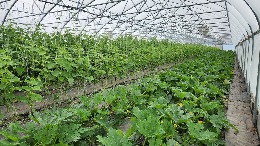 3943 Lower Valley Road, Kalispell, MT 59901 photo 57