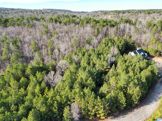 0 CLEVELAND FARMS PARKWAY, Pell City, AL 35125