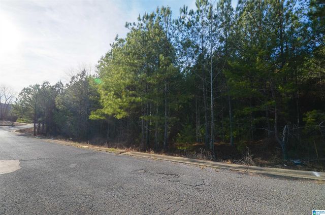 0 CLEVELAND FARMS PARKWAY, Pell City, AL 35125