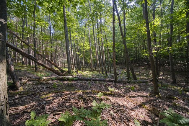 2521 Crescent Beach Road, Manistee, MI 49660