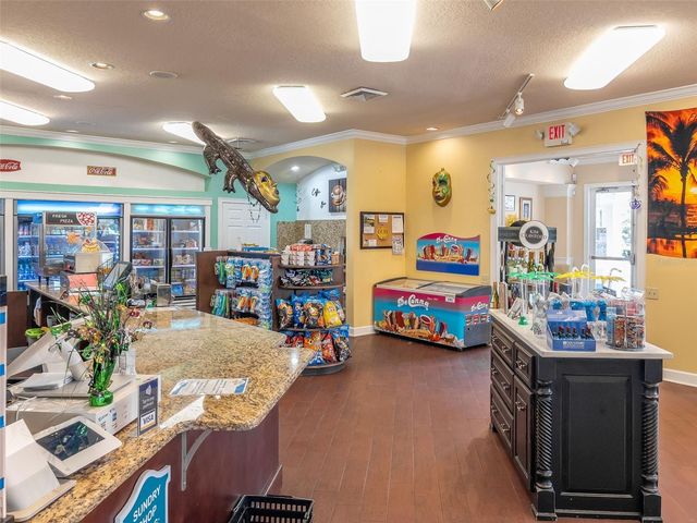 2362 SILVER PALM DRIVE, Kissimmee, FL 34747