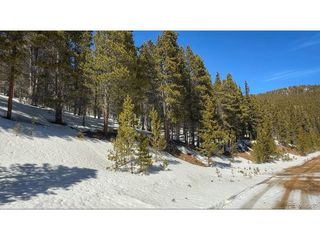39 Glory Hole Rd, Idaho Springs, CO 80452