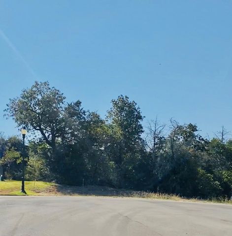 164 Carriage CT, Bastrop, TX 78602