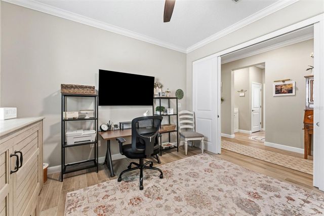 31493 CANNON RUSH DRIVE, San Antonio, FL 33576
