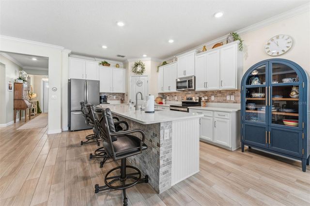 31493 CANNON RUSH DRIVE, San Antonio, FL 33576