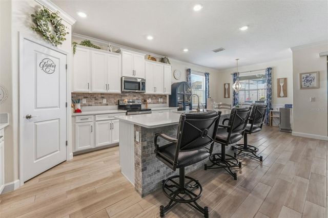 31493 CANNON RUSH DRIVE, San Antonio, FL 33576