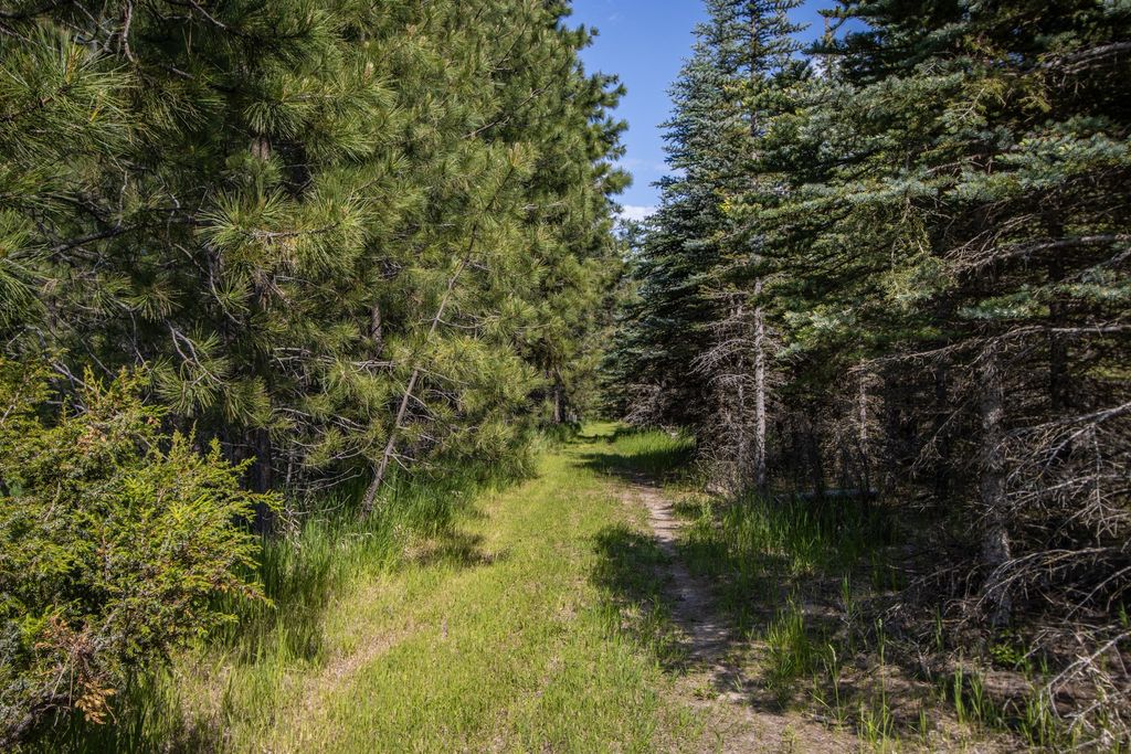 1265 Jellison Road, Columbia Falls, MT 59912 photo 73